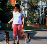 kathysdogwalking
