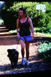 kathysdogwalking